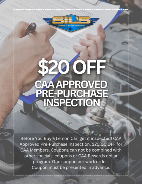 CAA Approved Pre-Purchase Inspection
